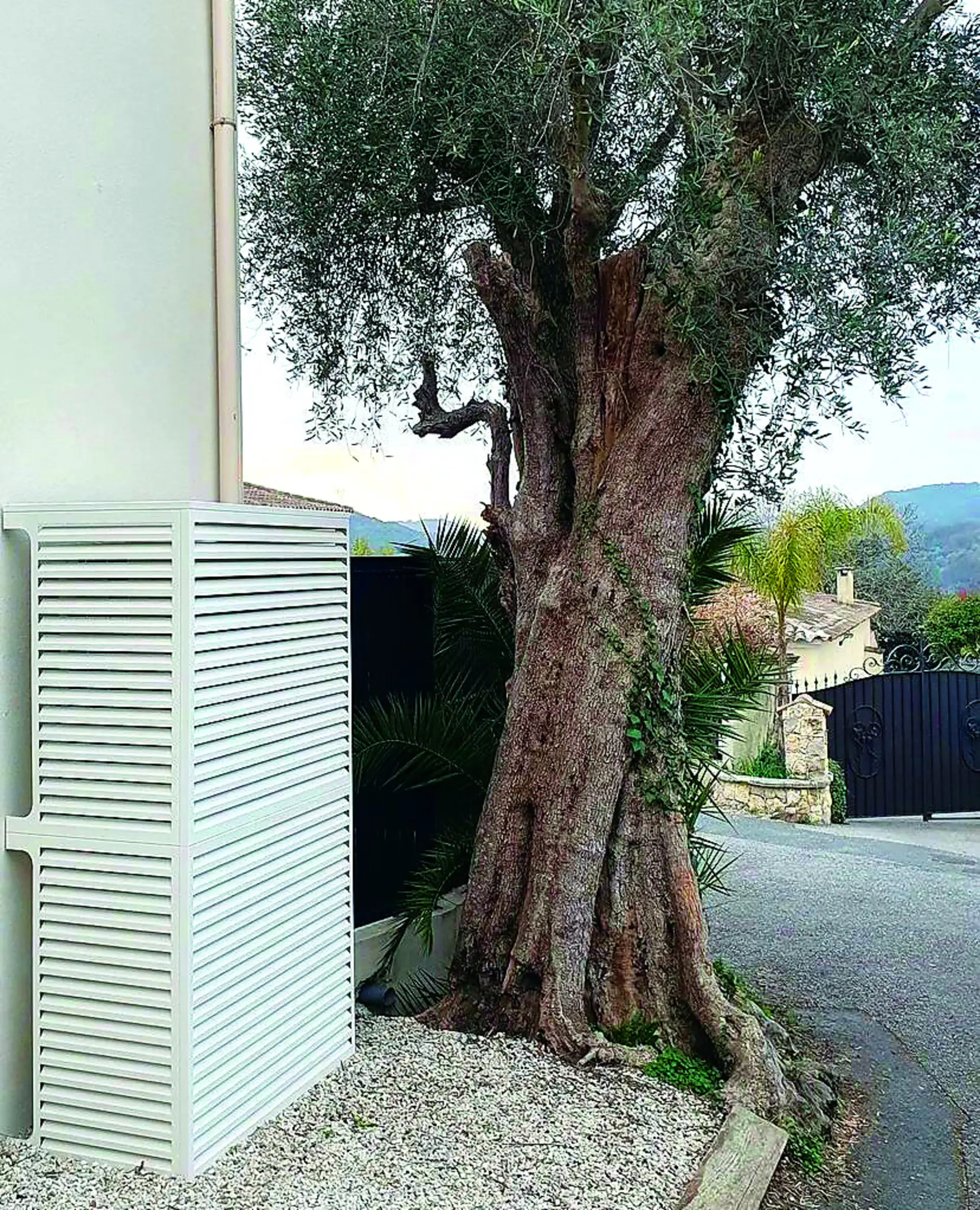 Devaux-Klimaabdeckung an einer Wand installiert, am Fuß eines jahrhundertealten Olivenbaums